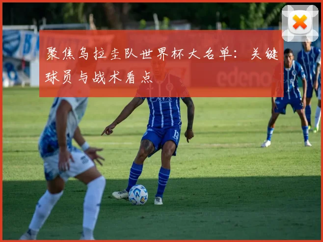 聚焦乌拉圭队世界杯大名单：关键球员与战术看点